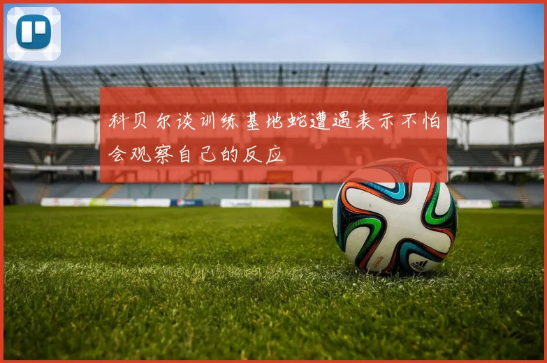 科贝尔谈训练基地蛇遭遇表示不怕会观察自己的反应